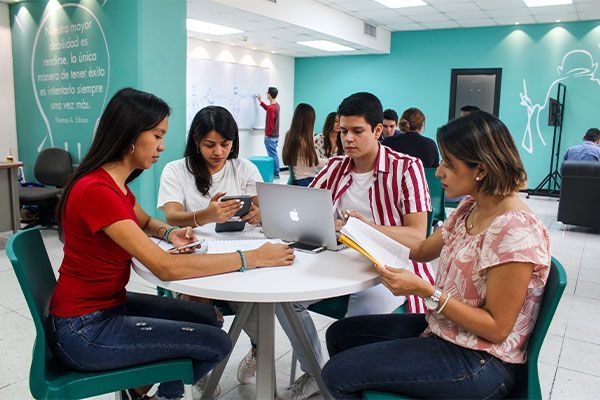 Sistema Bibliotecario